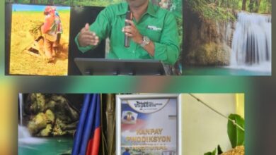 HAÏTI VIZYON lance une pétition nationale pour la promotion de la production locale