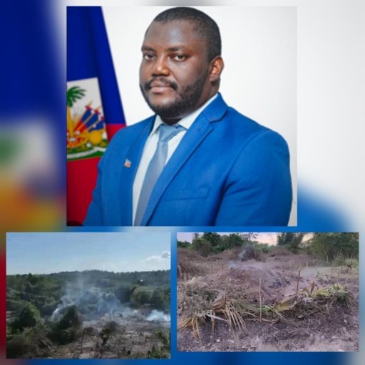 Jardin botanique des Cayes : le Ministère de l’Environnement appelle à la protection après des actes de vandalisme et incendies 1 Jardin botanique des Cayes : le Ministère de l’Environnement appelle à la protection après des actes de vandalisme et incendies