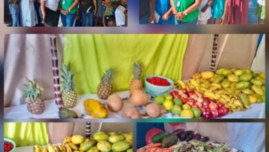 Carrefour : Une journée dédiée à l’agriculture, à la santé et à l’éducation