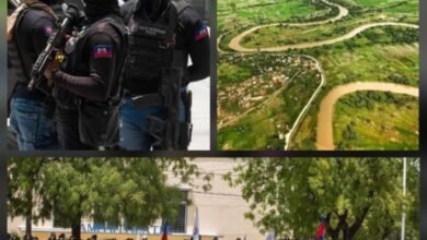 PNH: pas même vingt-quatre heures de joie…