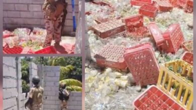 La Force de répression des gangs détruit des centaines de cocktails Molotov lors d’une opération à Tabarre