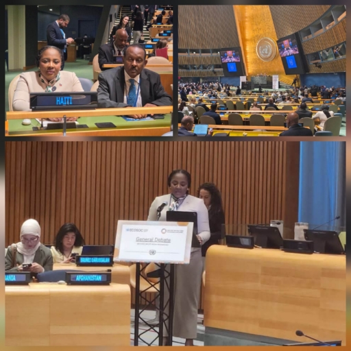 Dre Sandra Paulemon défend les ambitions d'Haïti au Forum politique de haut niveau de l'ONU