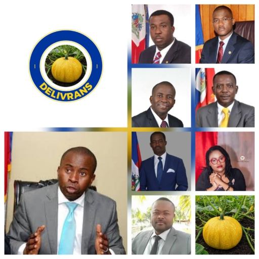 DELIVRANS et SOL AYITI alertent l’OEA sur les conditions du processus électoral en Haïti
