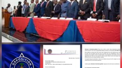 L’Opposition progressiste demande à l’OEA de ne plus soutenir le pouvoir en place et dénonce le processus électoral