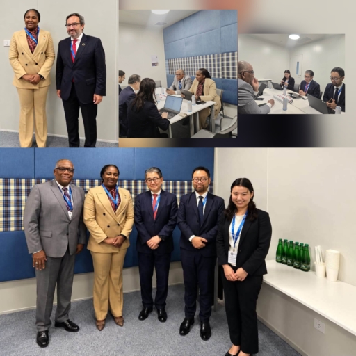 Coopération Haïti-Japon : Dre Sandra Paulemon propose un programme de création d’emplois avec la JICA