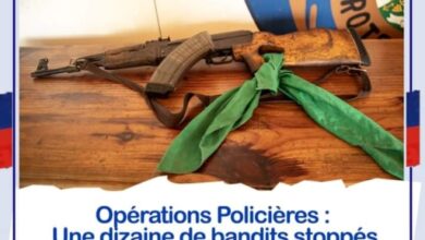 Croix-des-Bouquets: Dix bandits stoppés et un fusil d'assaut saisi, confirme la PNH