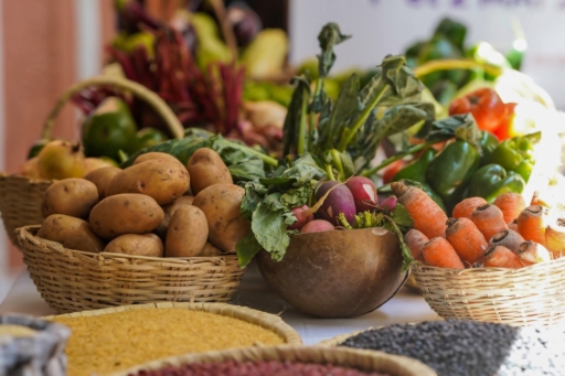 Le PNCS promeut les produits locaux à la 2e édition de sa foire agro-gastro-artisanale