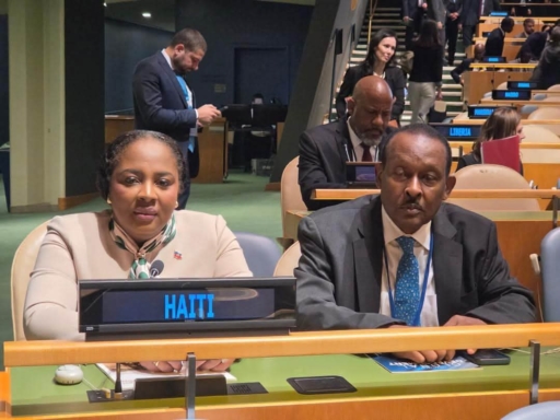 Dre Sandra Paulemon défend les ambitions d'Haïti au Forum politique de haut niveau de l'ONU