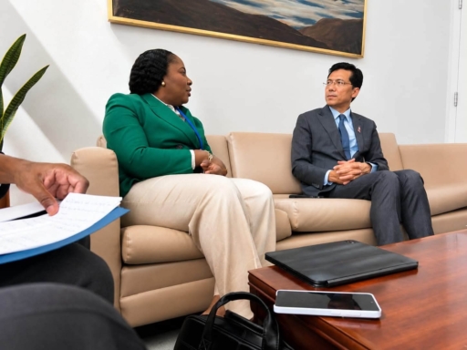 Rencontre bilatérale entre la ministre Sandra Paulemon et le président de l'ECOSOC : Haïti renforce son plaidoyer pour les ODD