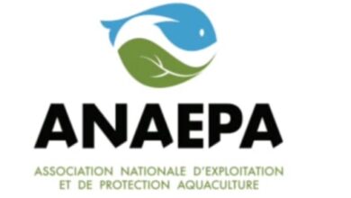 Exportation illégale des anguilles, l'ANAEPA attire l'attention des autorités sur la contrebande dans la filière pêche