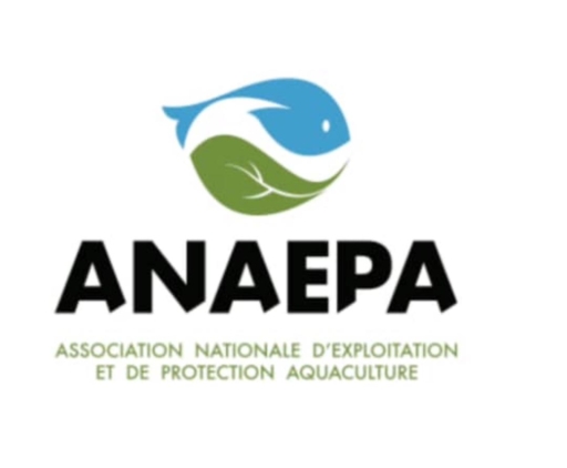 Exportation illégale des anguilles, l'ANAEPA attire l'attention des autorités sur la contrebande dans la filière pêche