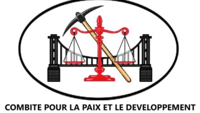 Disparitions Forcées en Haïti : Le CPD lance un appel urgent à l'intervention de l'ONU
