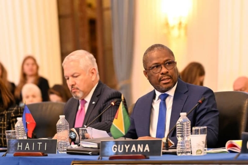 Élection Historique d'Albert Ramdin à la tête de l'OEA saluée par les autorités haïtiennes