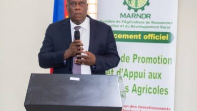 Bonne nouvelle pour les jeunes entreprises, un nouveau projet lancé pour booster les startups agricoles