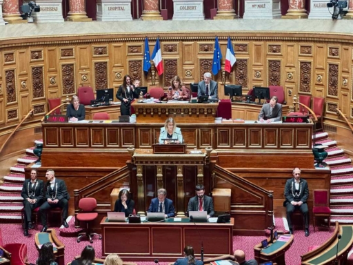 Une Résolution a été adoptée au sénat français pour la Sécurité en Haïti