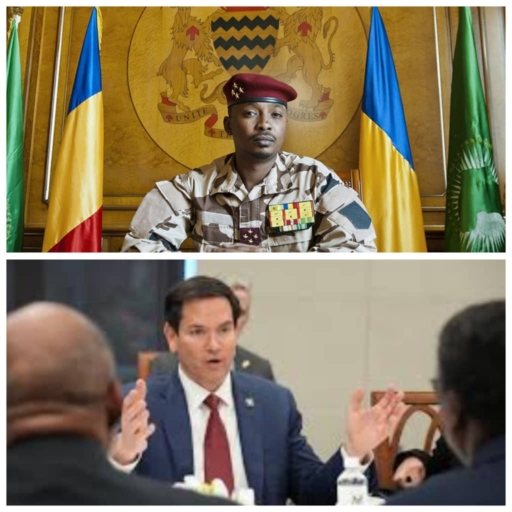 Contrairement à Haïti, le Tchad a diplomatiquement réagi face aux restrictions d'entrée des États-Unis