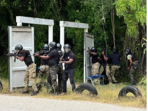 La France forme des unités d'intervention pour renforcer la sécurité en Haïti