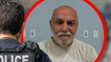ICE confirme l'arrestation de Pierre Réginald Boulos pour infraction aux lois sur l'immigration et de soutien à des réseaux criminelles en Haïti