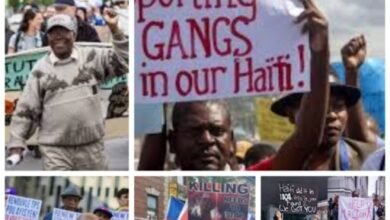 La communauté haïtienne aux USA critique Réginald Boulos et conteste son expulsion vers Haïti 3 La communauté haïtienne aux USA critique Réginald Boulos et conteste son expulsion vers Haïti