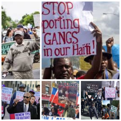 La communauté haïtienne aux USA critique Réginald Boulos et conteste son expulsion vers Haïti