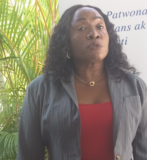 Haïti–Trois journées de formation pour renforcer les partis politiques dans la perspective des élections