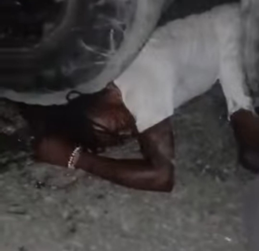 Camp-Perrin: un jeune homme tué dans un incident impliquant un char en plein défilé carnavalesque