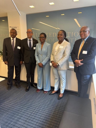 FP2030 : Ministre Sandra Paulemon plaide pour un financement du développement piloté par les États