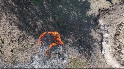 Jardin botanique des Cayes : le Ministère de l’Environnement appelle à la protection après des actes de vandalisme et incendies 3 Jardin botanique des Cayes : le Ministère de l’Environnement appelle à la protection après des actes de vandalisme et incendies