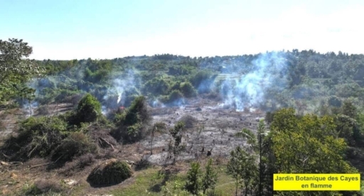 Jardin botanique des Cayes : le Ministère de l’Environnement appelle à la protection après des actes de vandalisme et incendies 2 Jardin botanique des Cayes : le Ministère de l’Environnement appelle à la protection après des actes de vandalisme et incendies