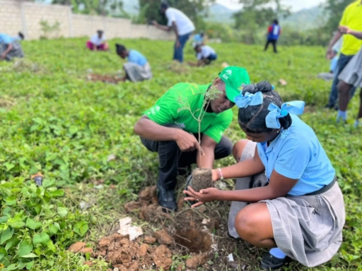 Journée mondiale de l’Environnement : plantations, marches et forums à travers le pays