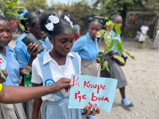 Journée mondiale de l’Environnement : plantations, marches et forums à travers le pays