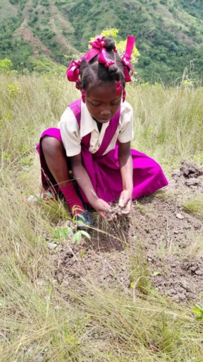Journée mondiale de l’Environnement : plantations, marches et forums à travers le pays