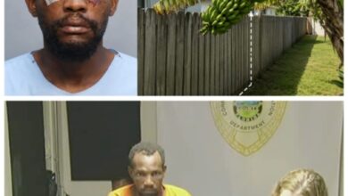États-Unis : un différend autour d’une grappe de bananes vire à une tentative de meurtre dans le comté de Miami-Dade