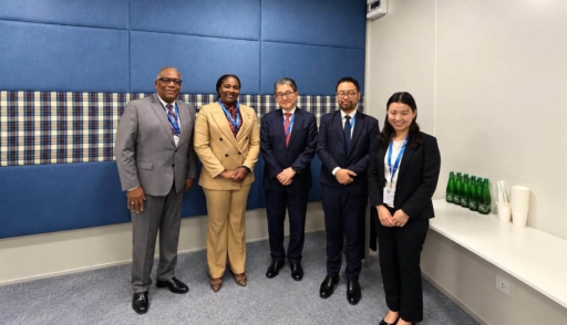 Coopération Haïti-Japon : Dre Sandra Paulemon propose un programme de création d’emplois avec la JICA