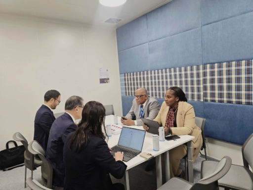 Coopération Haïti-Japon : Dre Sandra Paulemon propose un programme de création d’emplois avec la JICA