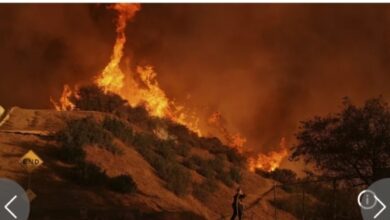 Impuissantes face à l'incendie dévastateur à Los Angeles, les autorités dénoncent un manque de moyen