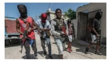 La Plaine : une situation préoccupante face à la puissance des gangs armés