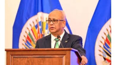 L'OEA plaide pour un soutien diplomatique et financier renforcé face aux violences des gangs en Haiti