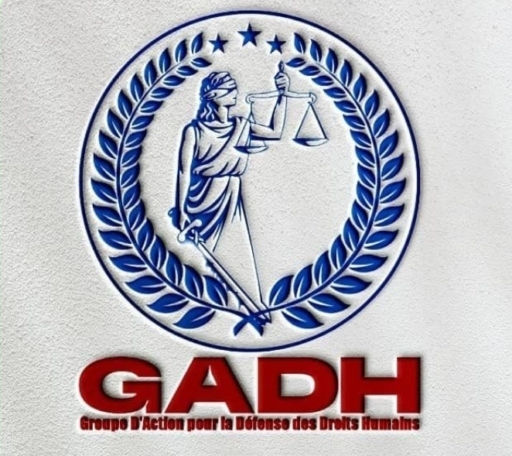 Haïti: un rapport du GADH accuse d’instrumentalisation du secteur des droits humains sur deux décennies