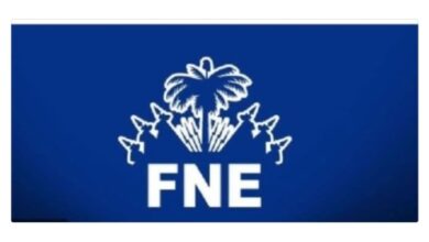Haïti/Éducation : le FNE distribue 500 chèques de subvention scolaire à Delmas