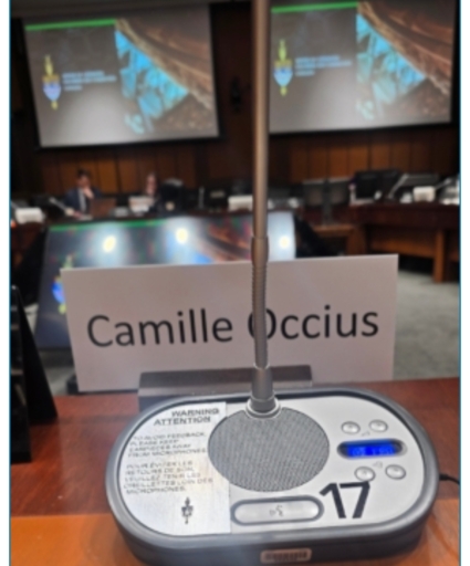 Haïti : l’OCNH plaide pour une réponse structurée devant le Parlement canadien