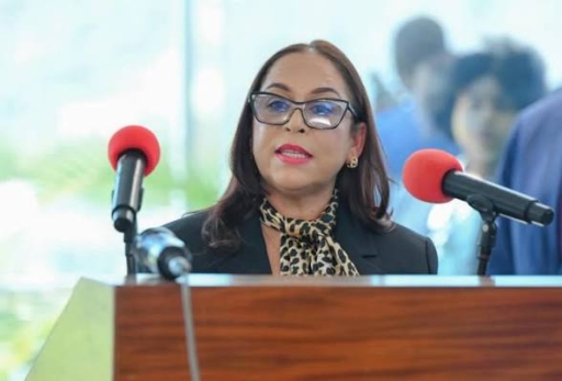 MAEC dépêche une mission spéciale au Chili pour faciliter l’accès aux documents administratifs