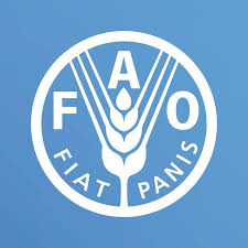 Risque de famine en Haïti, la FAO tire la sonnette d'alarme et appelle la communauté internationale à agir en urgence